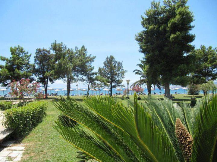 Nafsika Beach Delphi-Itea Luaran gambar